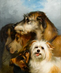 Wilczarz i towarzysze sportu, 1863